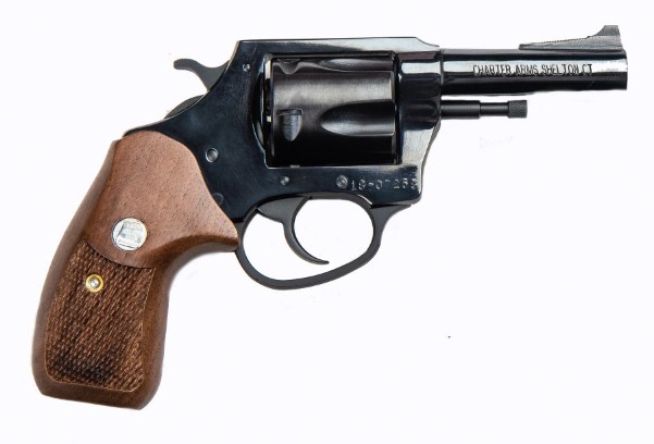 CHARTER ARMS CLASSIC BULLDOG .44 SPL. LARGE 5 SHOT 3IN FIXED STANDARD COLOR CASED BLUED 34431 - Win Repeating Arms Promotion